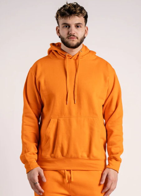 Heavy Blend Hoodie Sweatshirt