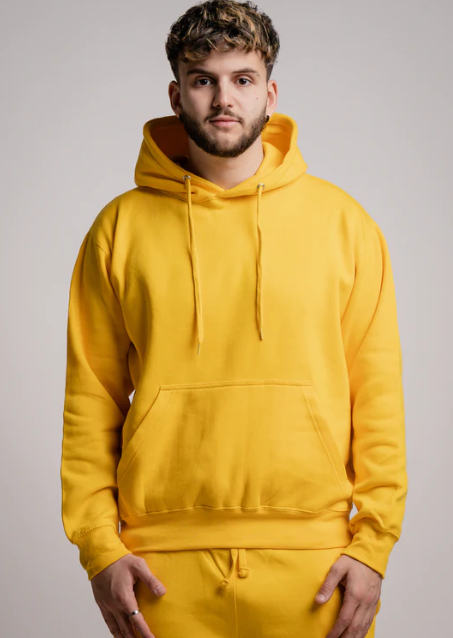 Heavy Blend Hoodie Sweatshirt