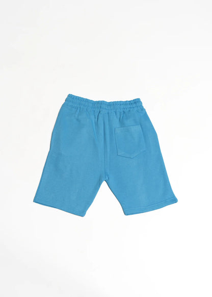 Heavy Blend Fleece SweatShort