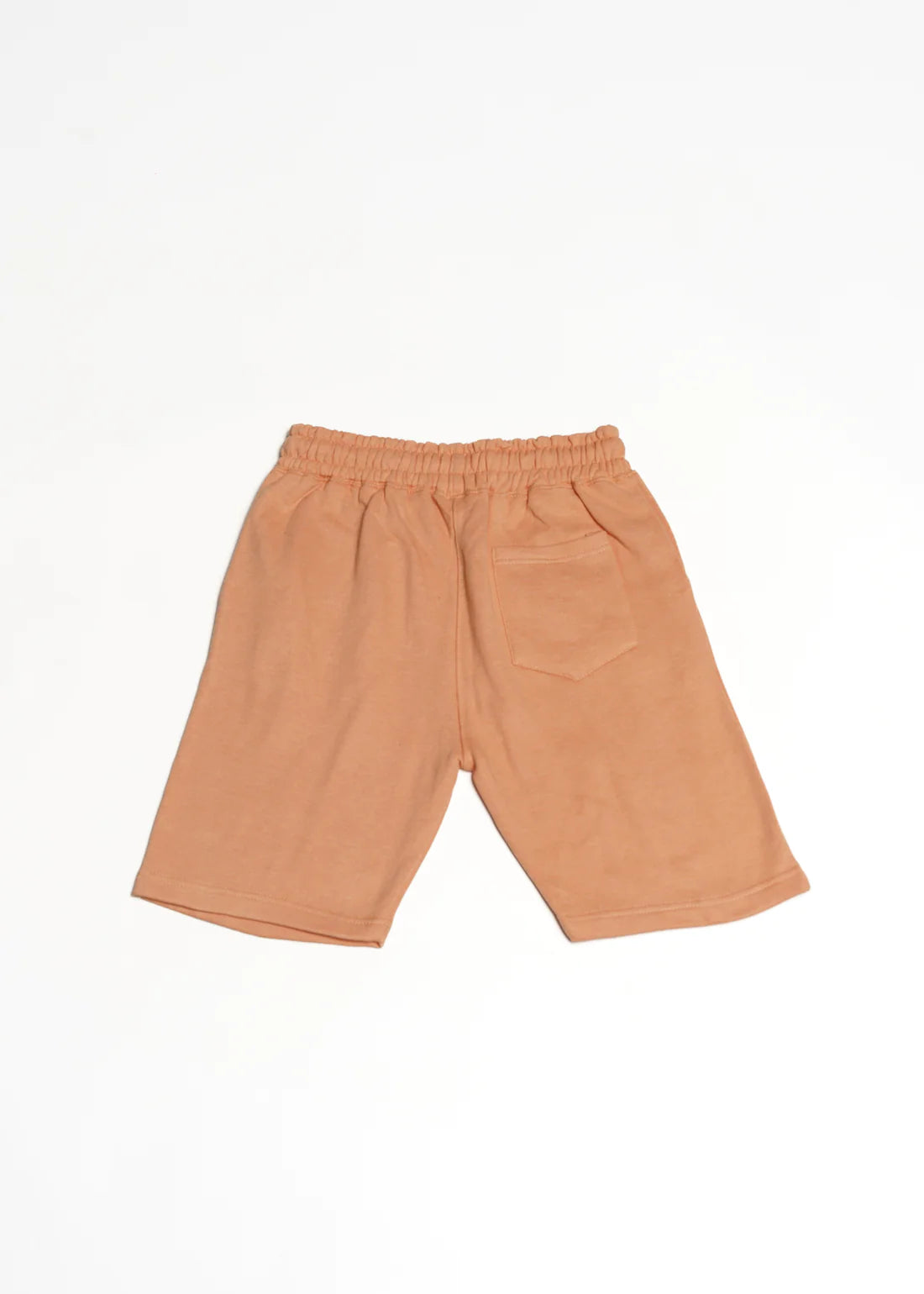 Heavy Blend Fleece SweatShort